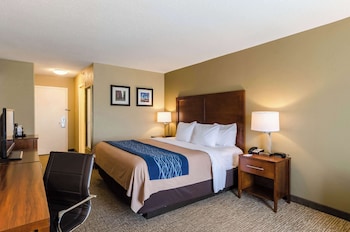 Standard Room, 1 King Bed, Non Smoking