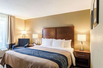 Room, 1 King Bed, Accessible, Non Smoking