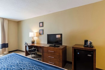 Standard Room, 1 King Bed, Non Smoking