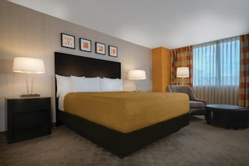 West Tower/Dog Friendly King