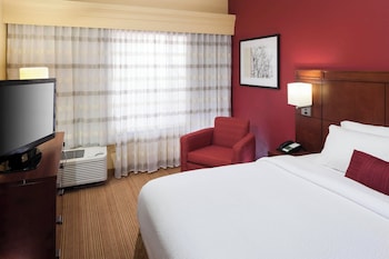 Suite, 1 King Bed with Sofa bed