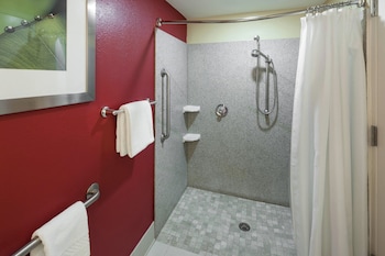 Room, 1 King Bed with Sofa bed (Hearing Accessible)
