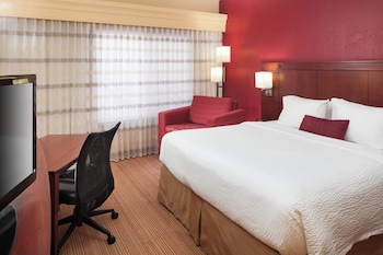 Room, 1 King Bed with Sofa bed (Hearing Accessible)