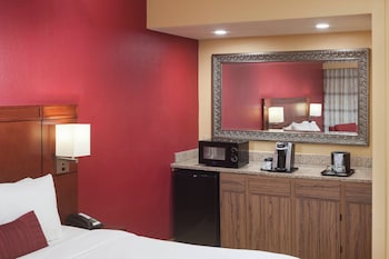 Room, 1 King Bed with Sofa bed