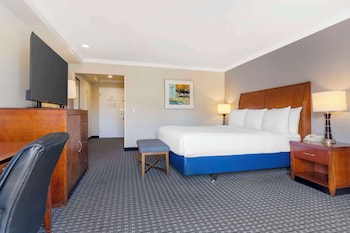 Suite, 1 King Bed, Accessible, Refrigerator (with Single Sofabed)