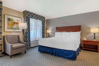 Standard Room, 1 King Bed, Non Smoking, Refrigerator
