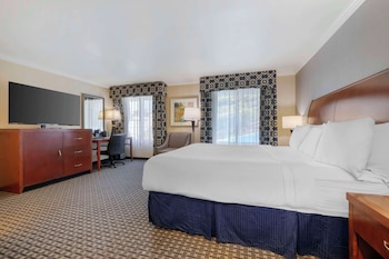Standard Room, 1 King Bed, Non Smoking, Refrigerator