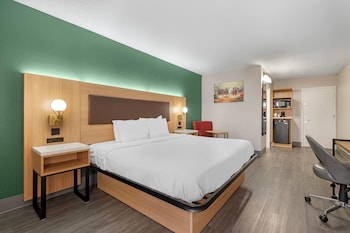 Suite, 1 King Bed, Non Smoking