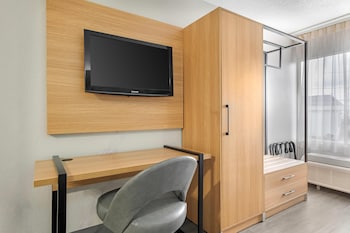 Room, 1 King Bed, Mobility Accessible, Non Smoking (Mobility, Roll-in Shower)