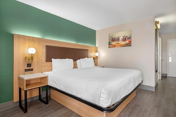 Room, 1 King Bed, Mobility Accessible, Non Smoking (Mobility, Roll-in Shower)