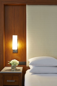 Room, 1 King Bed