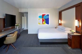 Room, 1 King Bed
