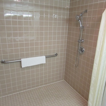 Suite, Accessible, Refrigerator & Microwave (Nonsmoking)