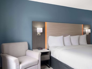 Room, 1 King Bed, Accessible, Non Smoking (Mobility/Hearing, Roll in Shower)