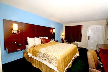 Standard Room, 1 King Bed, Accessible, Non Smoking