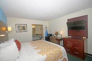 Standard Room, 1 King Bed, Non Smoking