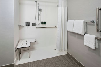 Room, 1 King Bed with Sofa bed (Mobility Accessible, Roll-in Shower)