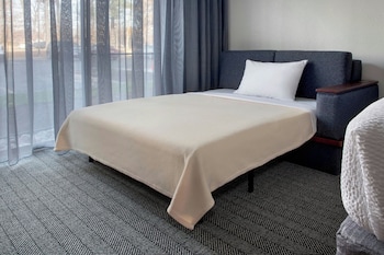 Room, 1 King Bed with Sofa bed