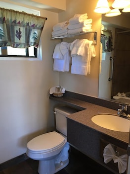 Superior Room, 1 King Bed, Partial Lake View
