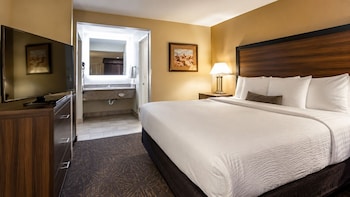 Standard Room, 1 King Bed, Non Smoking, Refrigerator & Microwave (with Sofabed)