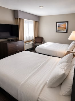 Suite, Multiple Beds, Non Smoking, Refrigerator & Microwave (with Single Sofabed)