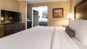 Standard Room, 1 King Bed, Non Smoking, Refrigerator & Microwave (with Sofabed)