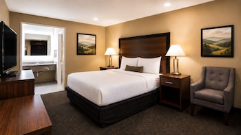 Standard Room, 1 Queen Bed, Non Smoking, Refrigerator & Microwave