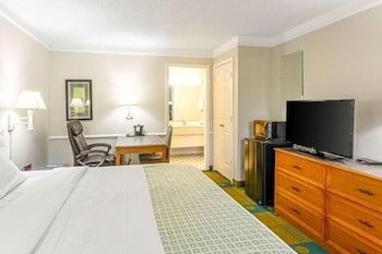 Room, 1 King Bed, Accessible, Non Smoking