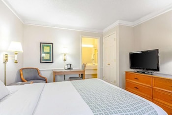 Standard Room, 1 Double Bed, Non Smoking