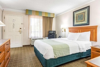 Standard Room, 1 Double Bed, Non Smoking