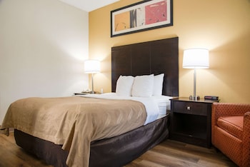 Standard Room, 1 King Bed, Non Smoking
