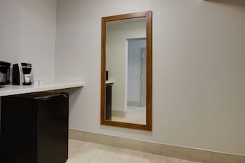 Suite, 1 King Bed with Sofa bed, Accessible, Non Smoking (Communications Accessible)
