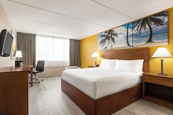 Standard Room, 1 King Bed, Non Smoking