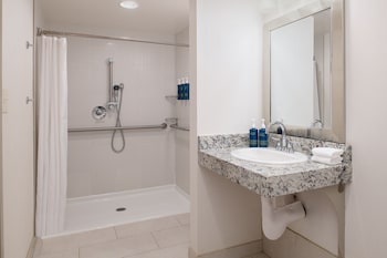 Traditional Room, 1 King Bed (Mobility Accessible, Roll-In Shower)