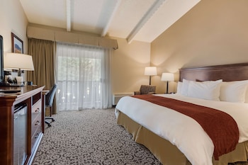 Standard Room, 1 King Bed, Non Smoking, Mountain View