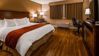 Standard Room, 1 King Bed, Non Smoking (Pet Friendly)