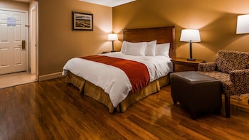 Standard Room, 1 King Bed, Non Smoking (Pet Friendly)