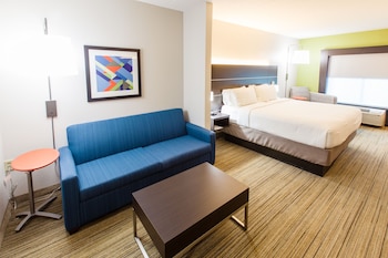 Suite, 1 King Bed with Sofa bed