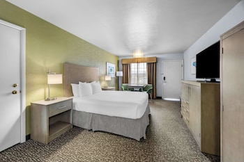 Standard Room, 1 Queen Bed, Accessible, Refrigerator & Microwave