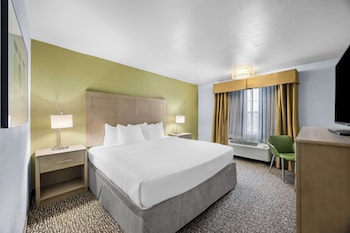 Standard Room, 1 King Bed, Non Smoking, Refrigerator & Microwave