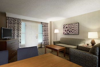 Room, 1 King Bed with Sofa bed