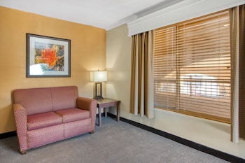 Suite, 1 King Bed, Non Smoking, Microwave (with Sofabed)