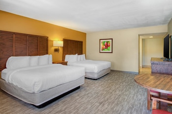 Standard Room, 2 Queen Beds, Accessible, Refrigerator & Microwave