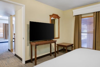 Suite, 1 King Bed, Non Smoking, Microwave (with Sofabed)