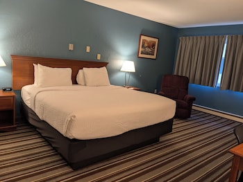 Room, 1 King Bed, Non Smoking