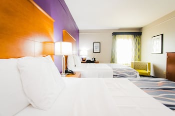 Basic Double Room