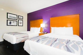 Basic Double Room