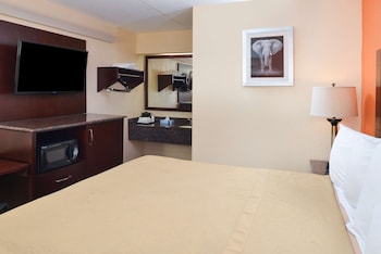 Room, 1 King Bed, Non Smoking