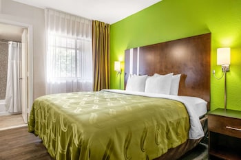 Suite, 1 King Bed with Sofa bed, Non Smoking
