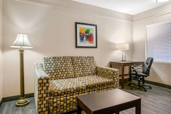 Suite, 1 King Bed with Sofa bed, Non Smoking